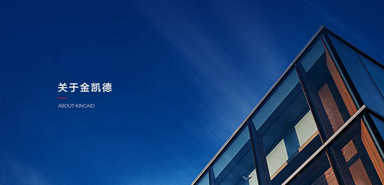 关于金凯德-2